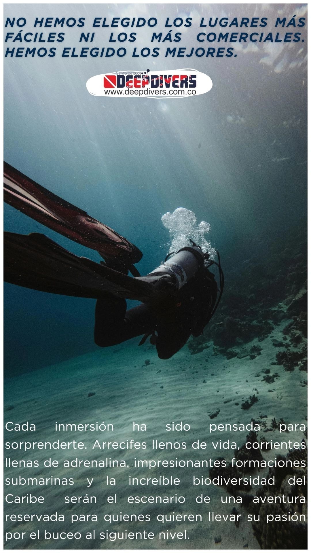 Imagen del viaje de buceo 3