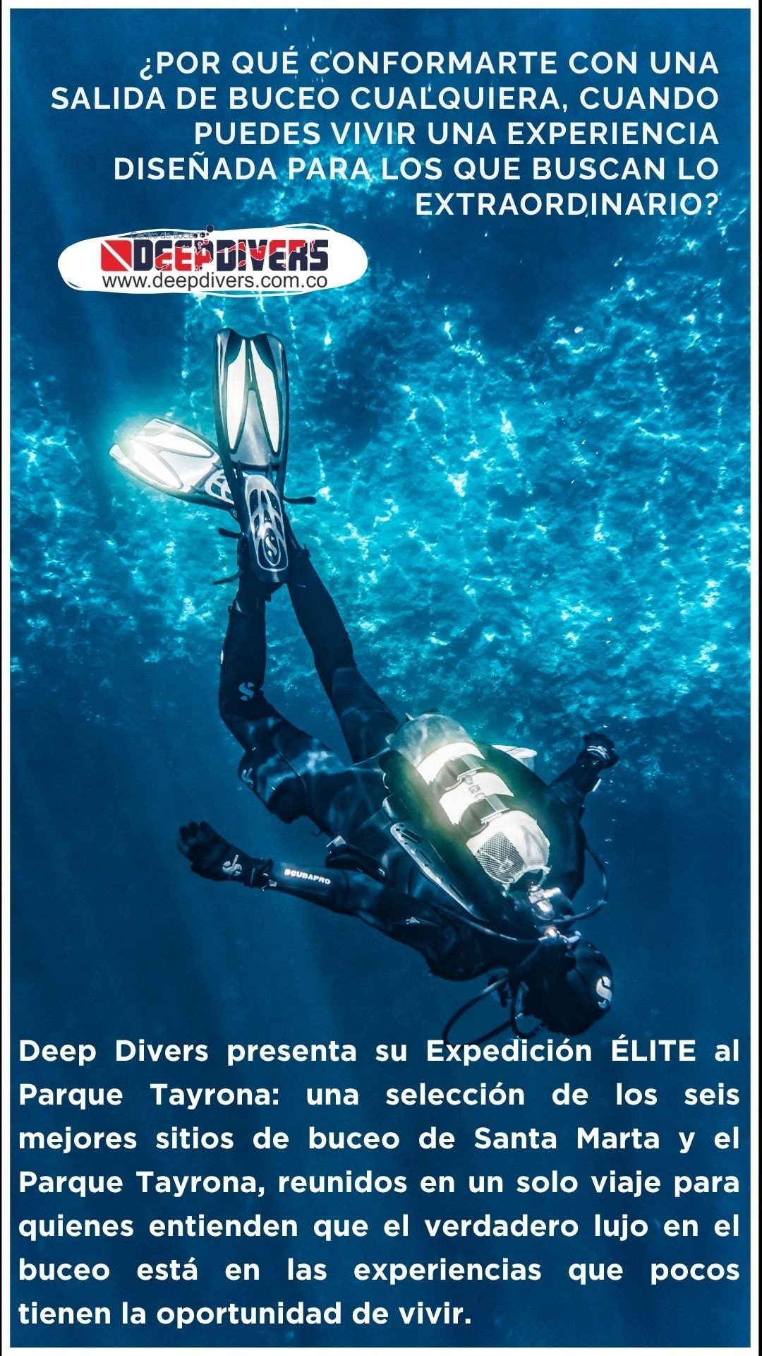 Imagen del viaje de buceo 4